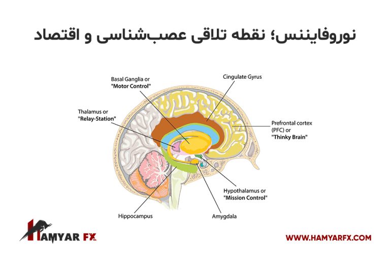 نوروفایننس چیست؟