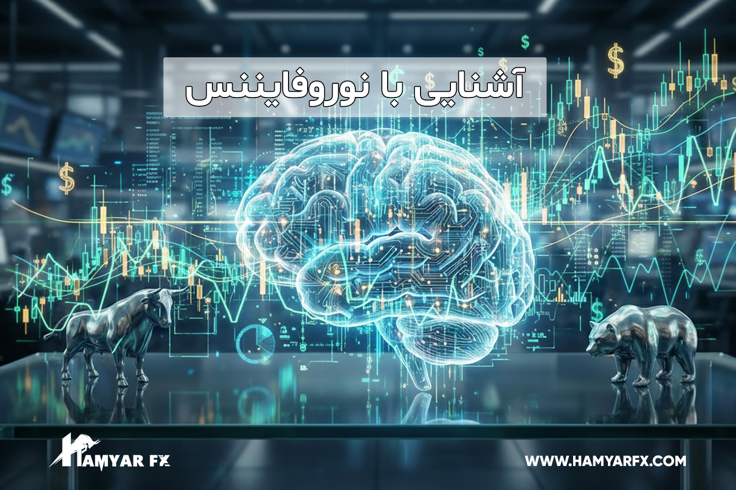 نوروفایننس چیست؟